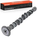 Nockenwelle Auslassseite Frankberg 5481FB0025623