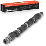 Nockenwelle Frankberg 5481FB0025647