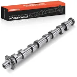 Nockenwelle Auslassseite Frankberg 5481FB0025656