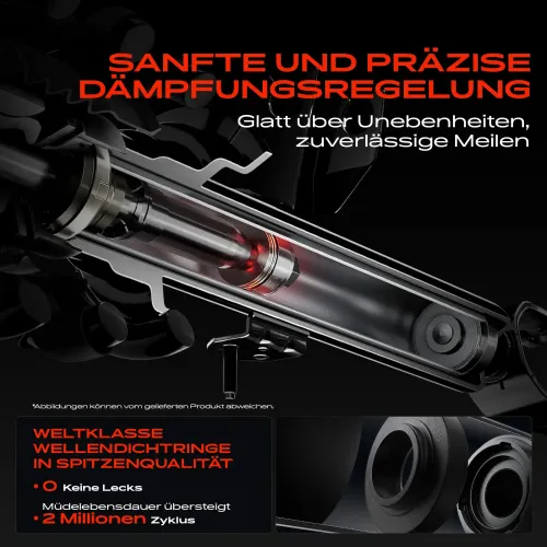 Stoßdämpfer Hinterachse Frankberg 5481FB0025841 Bild Stoßdämpfer Hinterachse Frankberg 5481FB0025841