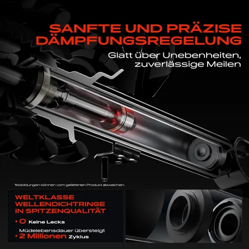 Stoßdämpfer Hinterachse Frankberg 5481FB0026388 Bild Stoßdämpfer Hinterachse Frankberg 5481FB0026388
