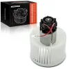 Innenraumgebläse 12 V Frankberg 5481FB0027738 Bild Innenraumgebläse 12 V Frankberg 5481FB0027738