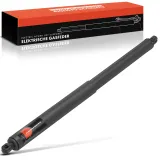 Gasfeder, Koffer-/Laderaum Frankberg 5481FB0028287