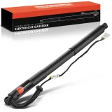 Gasfeder, Koffer-/Laderaum Frankberg 5481FB0028289