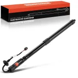 Gasfeder, Koffer-/Laderaum Frankberg 5481FB0028292