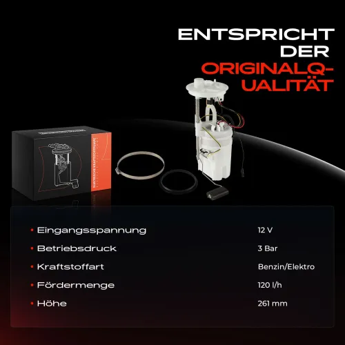 Kraftstoffpumpe 12 V Frankberg 5481FB0028590 Bild Kraftstoffpumpe 12 V Frankberg 5481FB0028590