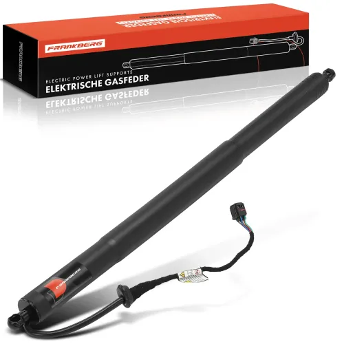 Gasfeder, Koffer-/Laderaum Frankberg 5481FB0029130 Bild Gasfeder, Koffer-/Laderaum Frankberg 5481FB0029130