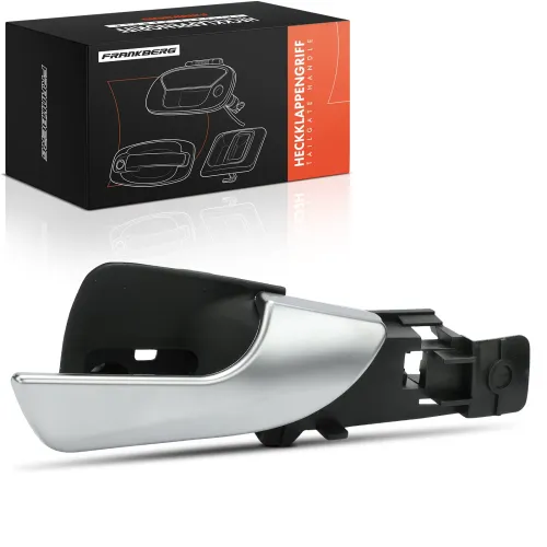 Türaußengriff vorne rechts Frankberg 5481FB0029150 Bild Türaußengriff vorne rechts Frankberg 5481FB0029150