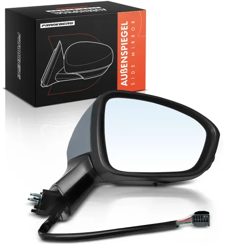 Außenspiegel Außenspiegel rechts Frankberg 5481FB0030413 Bild Außenspiegel Außenspiegel rechts Frankberg 5481FB0030413