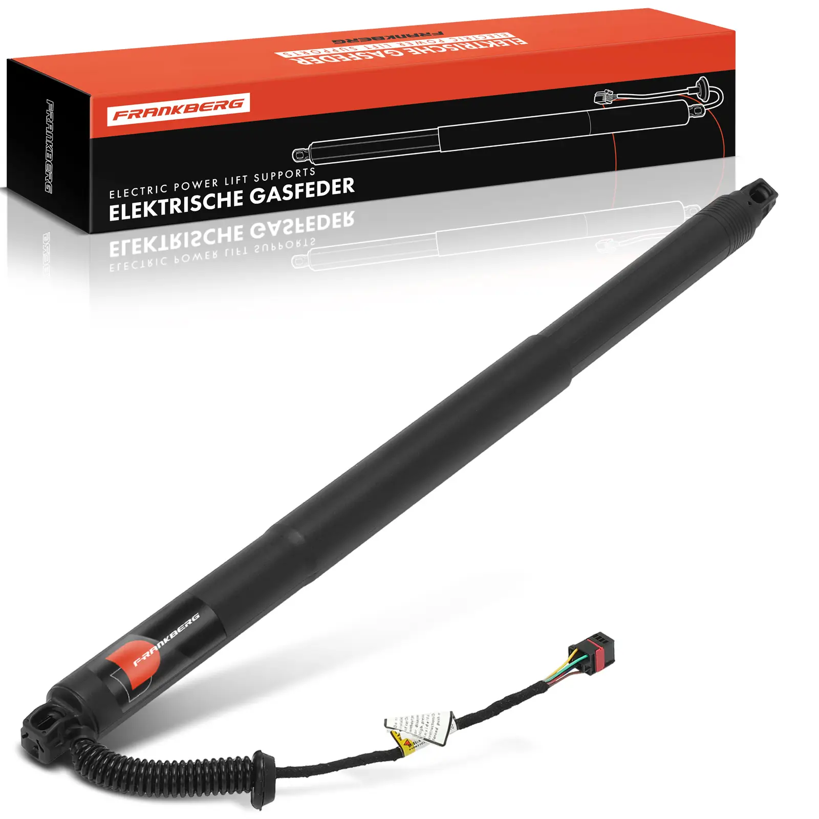 Gasfeder, Koffer-/Laderaum Frankberg 5481FB0030481