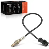 Lambdasonde vor Katalysator Frankberg 5481FB0030896