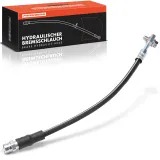 Bremsschlauch Hinterachse beidseitig Frankberg 5481FB0032732