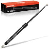 Gasfeder, Koffer-/Laderaum Kofferraum Frankberg 5481FB0039734