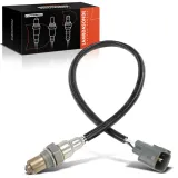 Lambdasonde vor Katalysator Frankberg 5481FB0041234