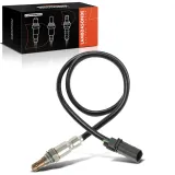 Lambdasonde vor Katalysator Frankberg 5481FB0041241