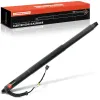 Gasfeder, Koffer-/Laderaum Frankberg 5481FB0041745