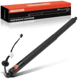 Gasfeder, Koffer-/Laderaum Frankberg 5481FB0041747