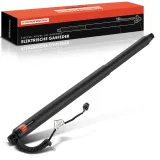 Gasfeder, Koffer-/Laderaum Frankberg 5481FB0041750