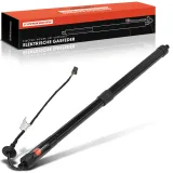 Gasfeder, Koffer-/Laderaum Frankberg 5481FB0041757