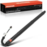 Gasfeder, Koffer-/Laderaum Frankberg 5481FB0041759