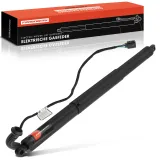 Gasfeder, Koffer-/Laderaum Frankberg 5481FB0041770