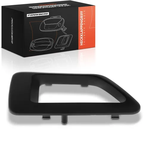 Türaußengriff vorne rechts Frankberg 5481FB0045225 Bild Türaußengriff vorne rechts Frankberg 5481FB0045225