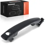 Türaußengriff vorne links Frankberg 5481FB0045281