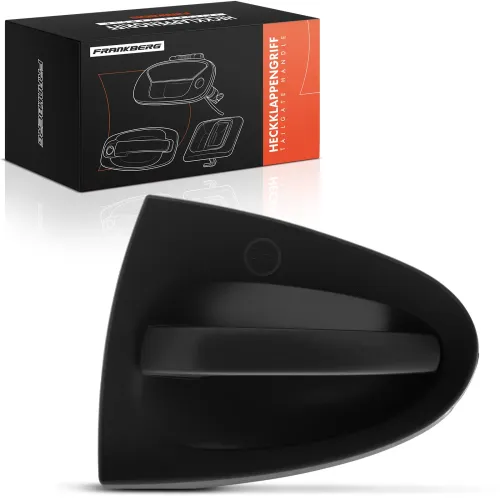 Türaußengriff vorne links Frankberg 5481FB0045371 Bild Türaußengriff vorne links Frankberg 5481FB0045371