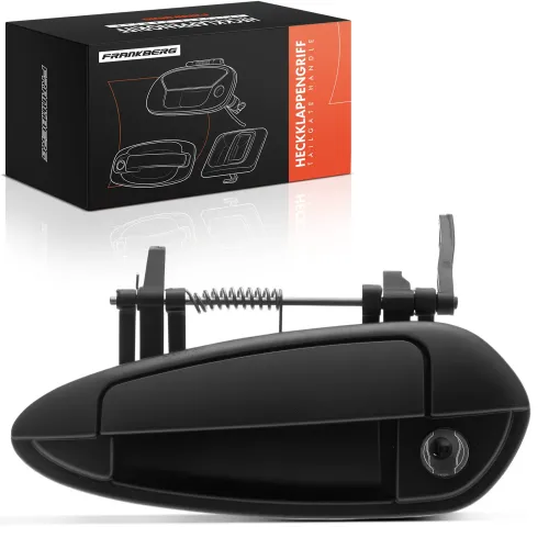 Türaußengriff vorne links Frankberg 5481FB0045549 Bild Türaußengriff vorne links Frankberg 5481FB0045549