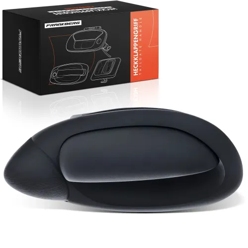 Türaußengriff hinten rechts Frankberg 5481FB0045587 Bild Türaußengriff hinten rechts Frankberg 5481FB0045587