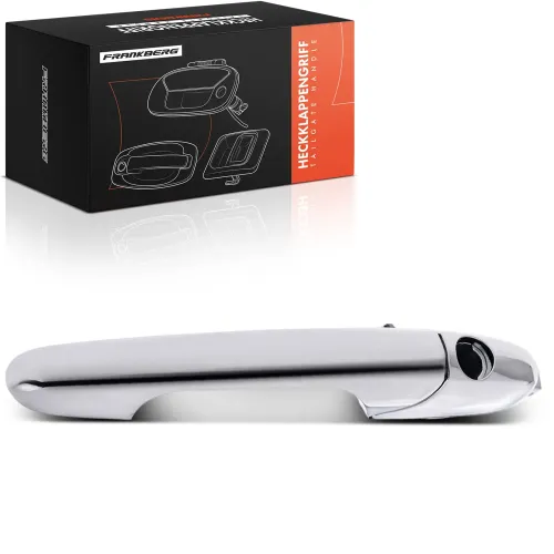 Türaußengriff vorne links Frankberg 5481FB0045590 Bild Türaußengriff vorne links Frankberg 5481FB0045590