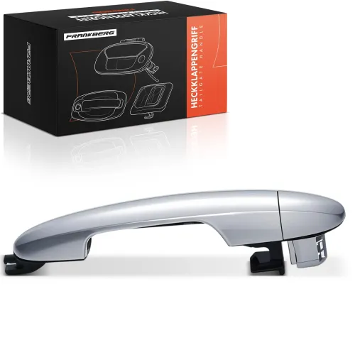 Türaußengriff vorne rechts Frankberg 5481FB0045625 Bild Türaußengriff vorne rechts Frankberg 5481FB0045625