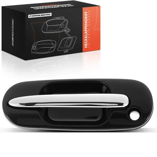 Türaußengriff vorne links Frankberg 5481FB0045665 Bild Türaußengriff vorne links Frankberg 5481FB0045665