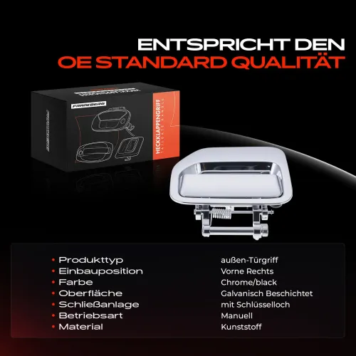 Türaußengriff vorne rechts Frankberg 5481FB0045666 Bild Türaußengriff vorne rechts Frankberg 5481FB0045666