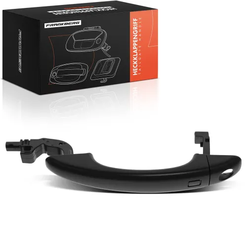 Türaußengriff vorne links Frankberg 5481FB0045712 Bild Türaußengriff vorne links Frankberg 5481FB0045712