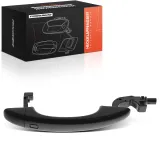 Türaußengriff vorne rechts Frankberg 5481FB0045714