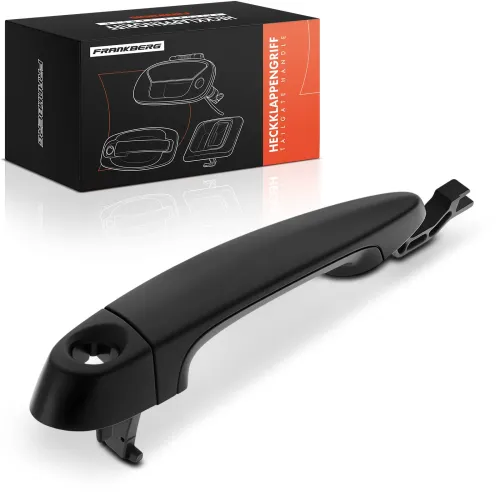 Türaußengriff vorne links Frankberg 5481FB0045796 Bild Türaußengriff vorne links Frankberg 5481FB0045796