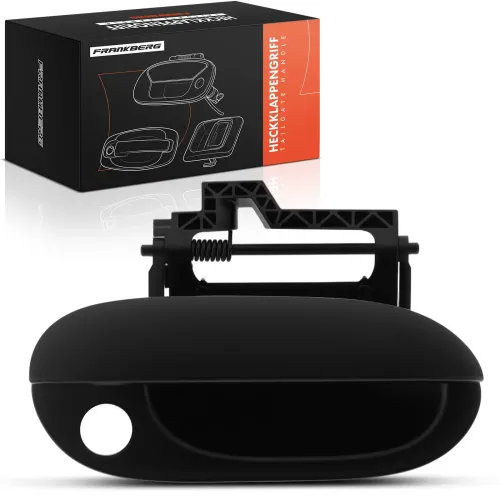 Türaußengriff vorne rechts Frankberg 5481FB0045816 Bild Türaußengriff vorne rechts Frankberg 5481FB0045816