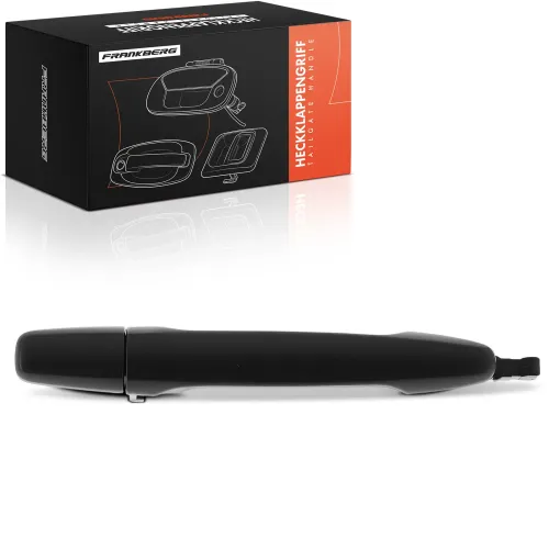 Türaußengriff vorne rechts Frankberg 5481FB0045862 Bild Türaußengriff vorne rechts Frankberg 5481FB0045862