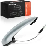 Türaußengriff hinten links Frankberg 5481FB0045884