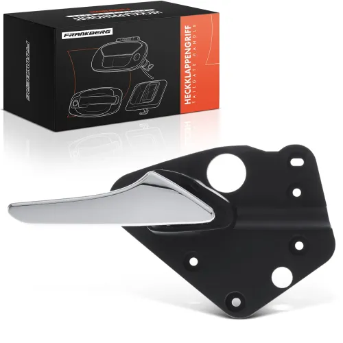 Türaußengriff vorne rechts Frankberg 5481FB0045899 Bild Türaußengriff vorne rechts Frankberg 5481FB0045899