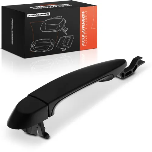 Türaußengriff vorne rechts Frankberg 5481FB0046029 Bild Türaußengriff vorne rechts Frankberg 5481FB0046029