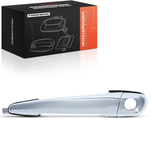 Türaußengriff vorne links Frankberg 5481FB0046050 Bild Türaußengriff vorne links Frankberg 5481FB0046050