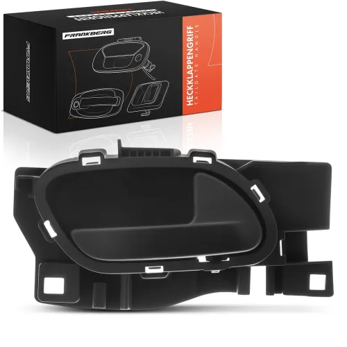 Türaußengriff vorne rechts Frankberg 5481FB0046051 Bild Türaußengriff vorne rechts Frankberg 5481FB0046051