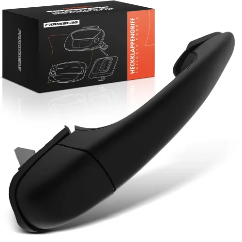 Türaußengriff vorne rechts Frankberg 5481FB0046064 Bild Türaußengriff vorne rechts Frankberg 5481FB0046064