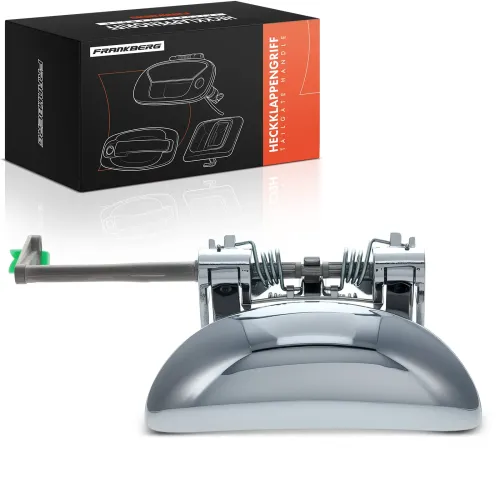 Türaußengriff vorne rechts Frankberg 5481FB0046084 Bild Türaußengriff vorne rechts Frankberg 5481FB0046084