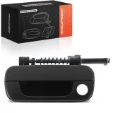 Türaußengriff vorne links Frankberg 5481FB0046117