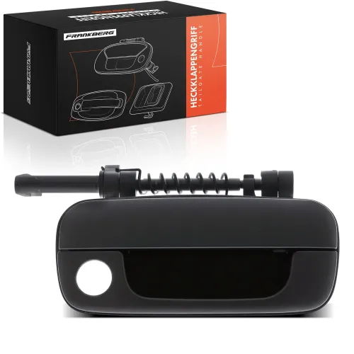 Türaußengriff vorne rechts Frankberg 5481FB0046128 Bild Türaußengriff vorne rechts Frankberg 5481FB0046128