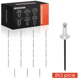 Clip, Zier-/Schutzleiste Frankberg 5481FB0046509