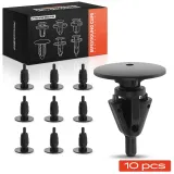 Clip, Zier-/Schutzleiste Frankberg 5481FB0046551